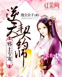 邪王专宠:逆天契约师